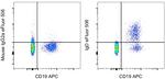 Human IgD Antibody in Flow Cytometry (Flow)