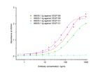 VEGF165/121 Antibody in ELISA (ELISA)