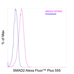 SMAD2 Antibody in Flow Cytometry (Flow)