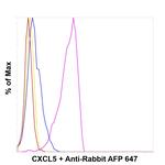 CXCL5 Antibody