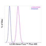 LC3B Antibody in Flow Cytometry (Flow)