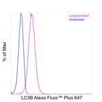LC3B Antibody in Flow Cytometry (Flow)