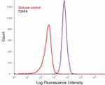 TIMP4 Antibody in Flow Cytometry (Flow)