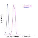 OCT4 Antibody in Flow Cytometry (Flow)