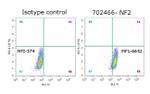 NF2 Antibody in Flow Cytometry (Flow)