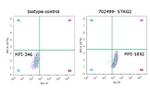 STAG2 Antibody in Flow Cytometry (Flow)