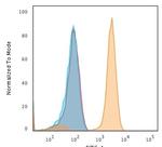 CD71/Transferrin Receptor (TFRC) Antibody in Flow Cytometry (Flow)