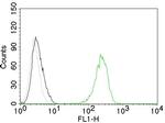 CD71/Transferrin Receptor (TFRC) Antibody in Flow Cytometry (Flow)