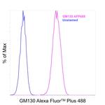 GM130 Antibody in Flow Cytometry (Flow)