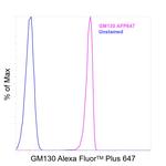 GM130 Antibody in Flow Cytometry (Flow)