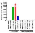 SARS-CoV-2 Spike Protein (RBD) Antibody