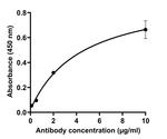 SARS-CoV-2 Spike Protein (RBD) Chimeric Antibody in ELISA (ELISA)