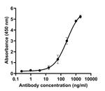 SARS-CoV-2 Spike Protein (RBD) Chimeric Antibody in ELISA (ELISA)