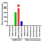 SARS-CoV-2 Spike Protein (RBD) Chimeric Antibody