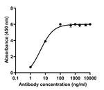 SARS-CoV-2 Spike Protein (RBD) Chimeric Antibody in ELISA (ELISA)