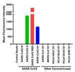 SARS-CoV-2 Spike Protein (RBD) Chimeric Antibody