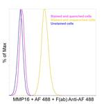 Alexa Fluor 488 Antibody in Flow Cytometry (Flow)