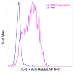 IL-8 Antibody