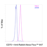 CD70 Recombinant Rabbit Monoclonal Antibody (CD70-Clone 13)