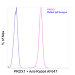 PRDX1 Antibody in Flow Cytometry (Flow)