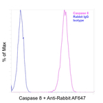 Caspase 8 Antibody in Flow Cytometry (Flow)