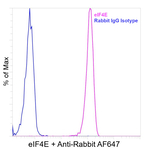 eIF4E  Antibody in Flow Cytometry (Flow)