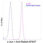 c-Jun Antibody in Flow Cytometry (Flow)