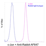 c-Jun Antibody in Flow Cytometry (Flow)