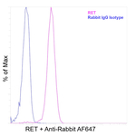 RET Antibody in Flow Cytometry (Flow)