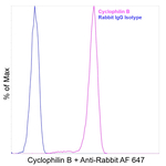 Cyclophilin B Antibody in Flow Cytometry (Flow)
