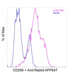 CD266 (TWEAK Receptor) Antibody