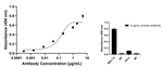 Adenosine Deaminase Antibody in ELISA (ELISA)