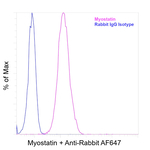 Myostatin Antibody in Flow Cytometry (Flow)