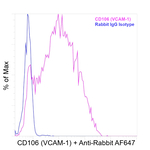 CD106 (VCAM-1) Antibody in Flow Cytometry (Flow)