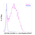 CD106 (VCAM-1) Antibody in Flow Cytometry (Flow)