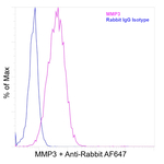 MMP3 Antibody in Flow Cytometry (Flow)