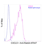 CXCL9 Antibody in Flow Cytometry (Flow)