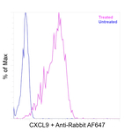 CXCL9 Antibody in Flow Cytometry (Flow)