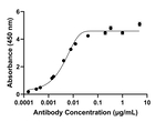GDF15 Antibody in ELISA (ELISA)