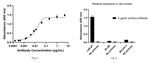 GDF15 Antibody in ELISA (ELISA)