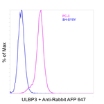 ULBP3 Antibody in Flow Cytometry (Flow)