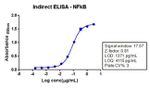 NFkB p65 Recombinant Superclonal™ Antibody (4-2HCLC)