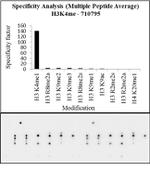H3K4me1 Antibody in Peptide array (ARRAY)