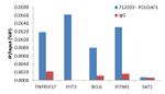 BOB-1 Antibody in ChIP Assay (ChIP)