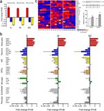 GLAST Antibody in Western Blot (WB)