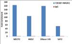 HMGN1 Antibody in ChIP Assay (ChIP)