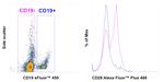 CD28 Recombinant Mouse Monoclonal Antibody (CD28.2), Alexa Fluor™ Plus 488