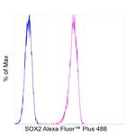SOX2 Antibody in Flow Cytometry (Flow)
