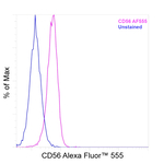 CD56 (NCAM) Recombinant Mouse Monoclonal Antibody (CMSSB), Alexa Fluor™ 555