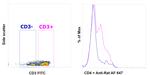 CD4 Antibody